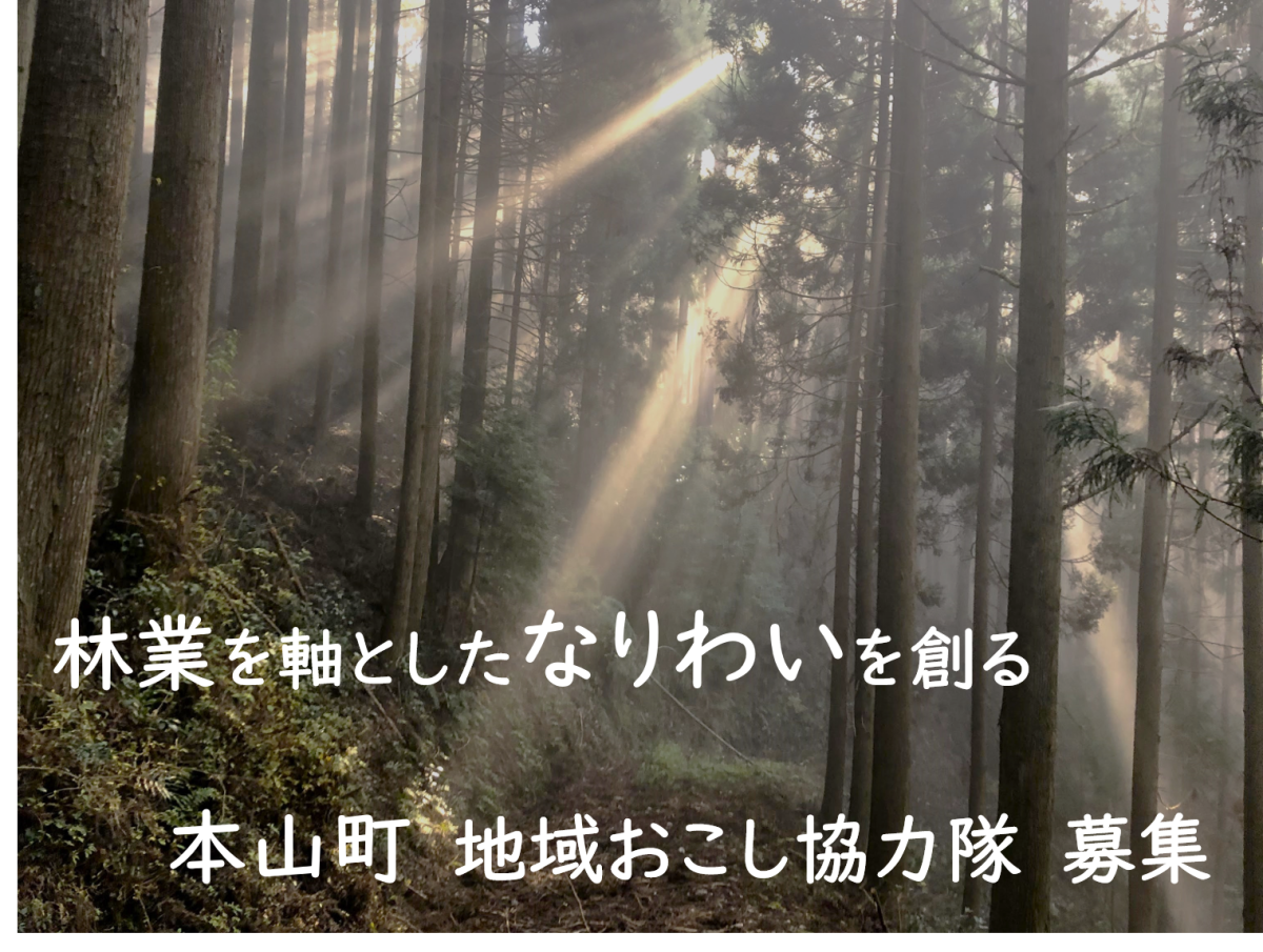 【本山町】多様な森づくりに携わる地域おこし協力隊（林業振興活動）を募集中！■未経験者歓迎■